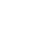 Marco Rovezzi